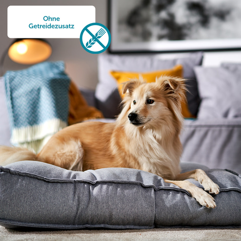 ZooRoyal Hunde-Nassfutter Pansen