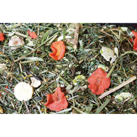 JR Farm Kaninchenfutter Grainless Herbs Zwergkaninchen