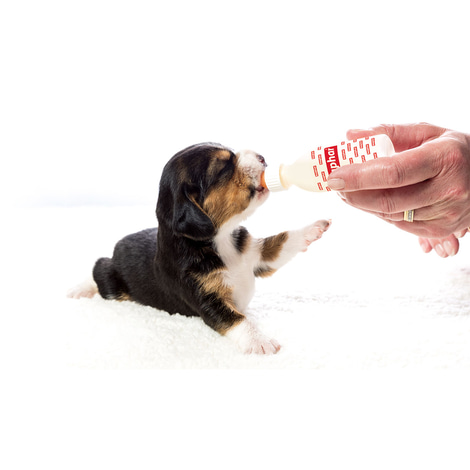 beaphar Lactol Aufzucht-Milch Hund 250g