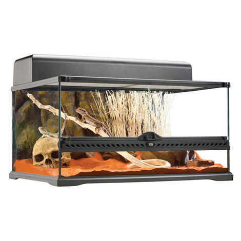 Exo Terra Terrarienkombination 60x45x30 cm