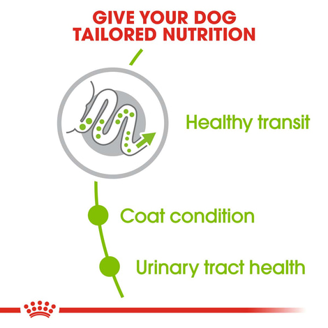 ROYAL CANIN X-SMALL Adult Trockenfutter für sehr kleine Hunde