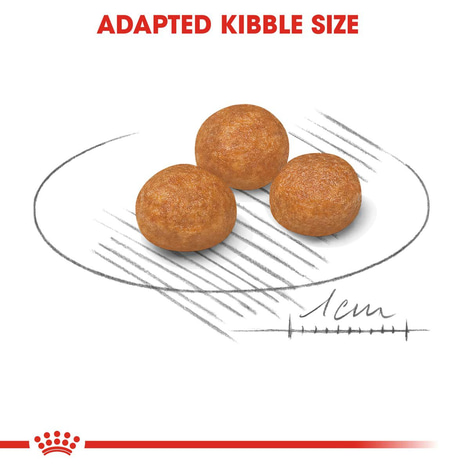 ROYAL CANIN X-SMALL Adult Trockenfutter für sehr kleine Hunde
