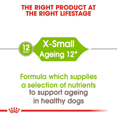 ROYAL CANIN X-SMALL Ageing 12+