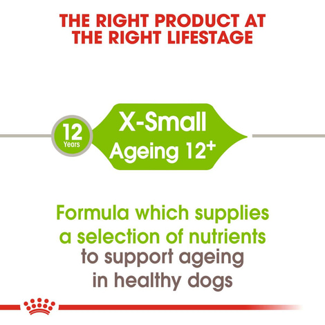 ROYAL CANIN X-SMALL Ageing 12+ Trockenfutter für ältere sehr kleine Hunde