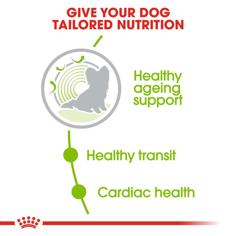 ROYAL CANIN X-SMALL Ageing 12+ Trockenfutter für ältere sehr kleine Hunde