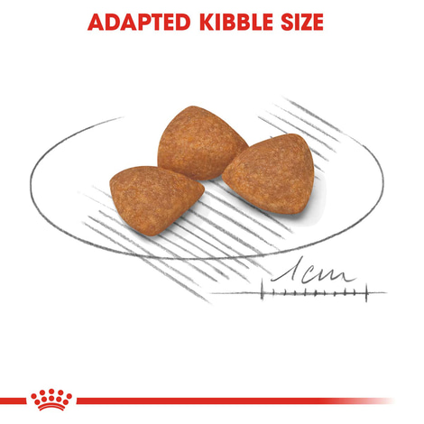 ROYAL CANIN X-SMALL Ageing 12+ Trockenfutter für ältere sehr kleine Hunde