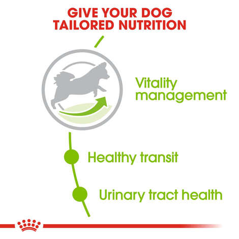 ROYAL CANIN X-SMALL Adult 8+ Trockenfutter für ältere sehr kleine Hunde