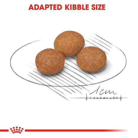 ROYAL CANIN X-SMALL Adult 8+ Trockenfutter für ältere sehr kleine Hunde