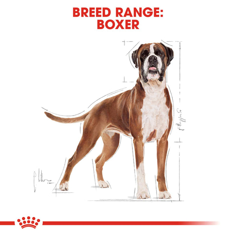 ROYAL CANIN Boxer Adult Hundefutter trocken
