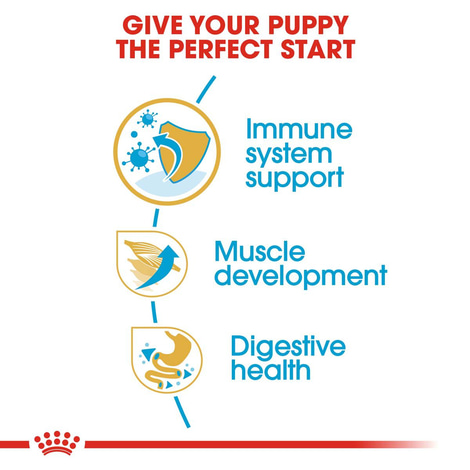 ROYAL CANIN Boxer Puppy Welpenfutter trocken