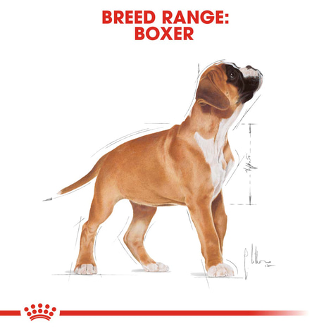 ROYAL CANIN Boxer Puppy Welpenfutter trocken