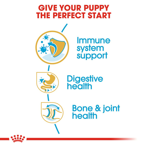 ROYAL CANIN Bulldog Puppy Welpenfutter trocken