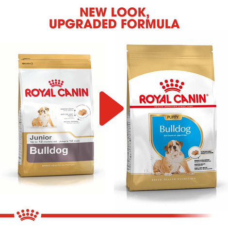 ROYAL CANIN Bulldog Puppy Welpenfutter trocken