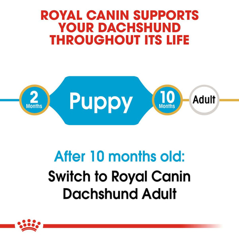 ROYAL CANIN Dachshund Puppy Welpenfutter trocken für Dackel 1,5kg