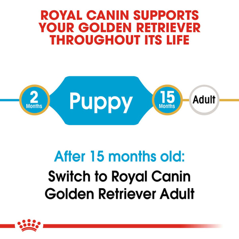 ROYAL CANIN Golden Retriever Puppy Welpenfutter trocken