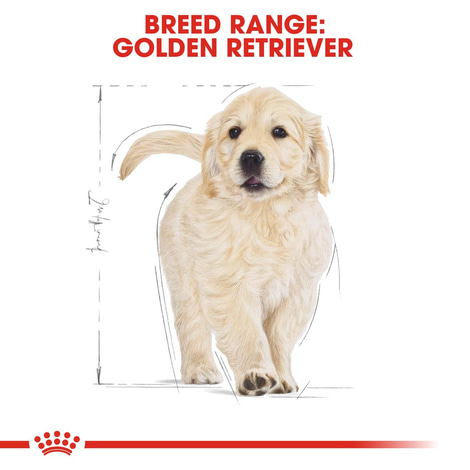 ROYAL CANIN Golden Retriever Puppy Welpenfutter trocken