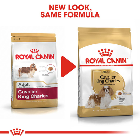 ROYAL CANIN Cavalier King Charles Adult Hundefutter trocken