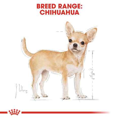 ROYAL CANIN Chihuahua Adult Hundefutter trocken