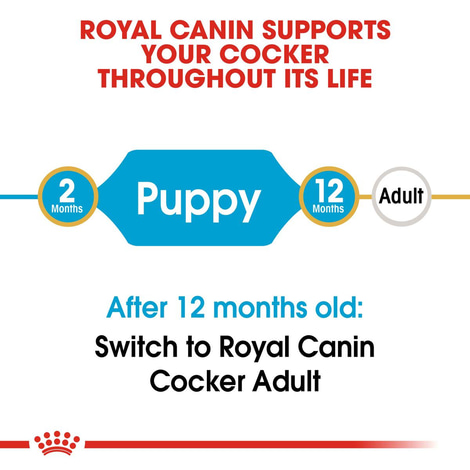 ROYAL CANIN Cocker Puppy Welpenfutter trocken