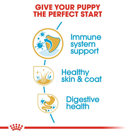 ROYAL CANIN Cocker Puppy Welpenfutter trocken