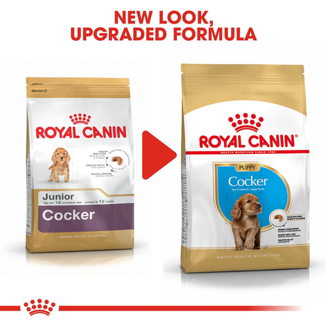 ROYAL CANIN Cocker Puppy Welpenfutter trocken