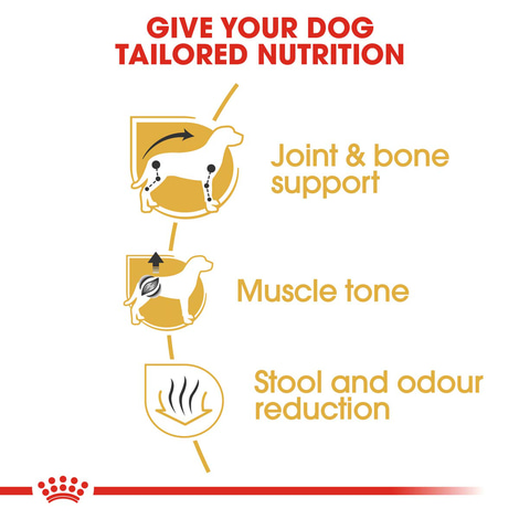 ROYAL CANIN Dachshund Adult Hundefutter trocken für Dackel