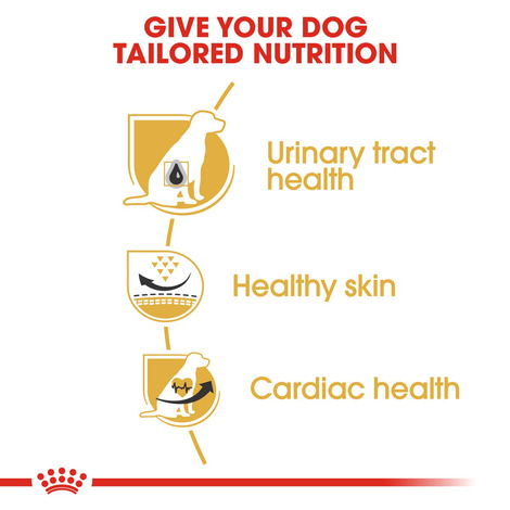 ROYAL CANIN Dalmatian Adult Hundefutter trocken für Dalmatiner