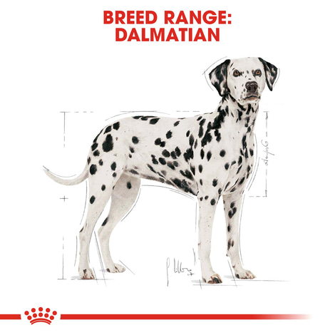 ROYAL CANIN Dalmatian Adult Hundefutter trocken für Dalmatiner
