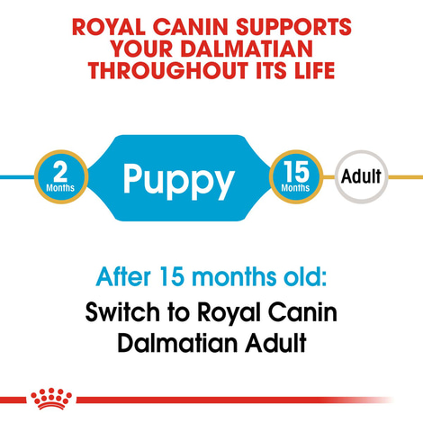 ROYAL CANIN Dalmatian Puppy Welpenfutter für Dalmatiner