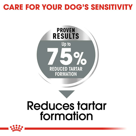 ROYAL CANIN DENTAL CARE MAXI Trockenfutter für große Hunde mit empfindlichen Zähnen