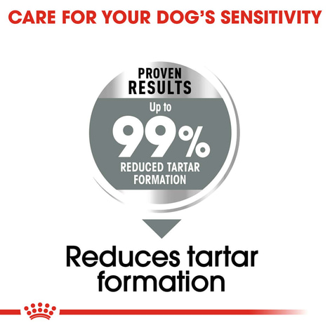 ROYAL CANIN DENTAL CARE MEDIUM Trockenfutter für mittelgroße Hunde mit empfindlichen Zähnen