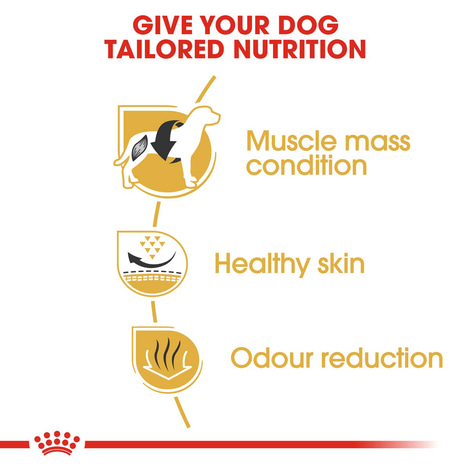 Royal Canin Hundefutter French Bulldog Adult 2x9kg