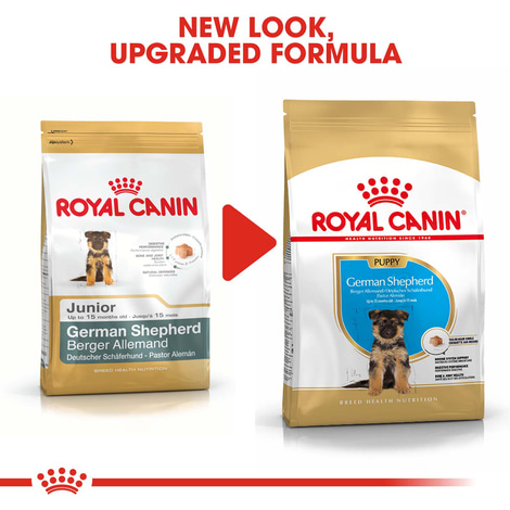 ROYAL CANIN German Shepherd Puppy Welpenfutter trocken für Deutsche Schäferhunde