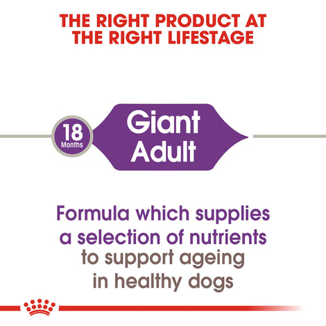 ROYAL CANIN GIANT Adult Trockenfutter für sehr große Hunde