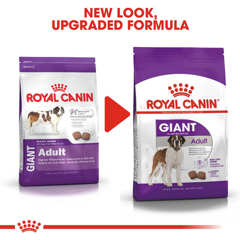 ROYAL CANIN GIANT Adult Trockenfutter für sehr große Hunde