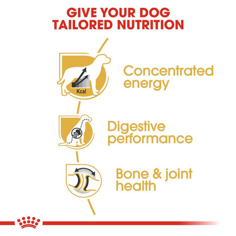 ROYAL CANIN Great Dane Adult Hundefutter trocken für Deutsche Doggen