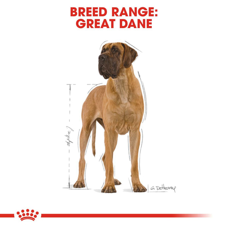 ROYAL CANIN Great Dane Adult Hundefutter trocken für Deutsche Doggen