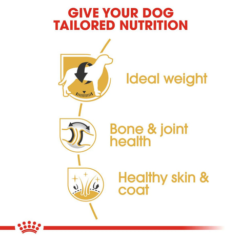 ROYAL CANIN Labrador Retriever Adult Hundefutter trocken