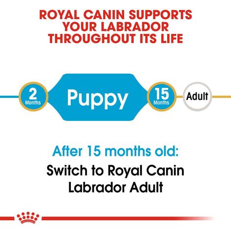 ROYAL CANIN Labrador Retriever Puppy granule pro štěňata
