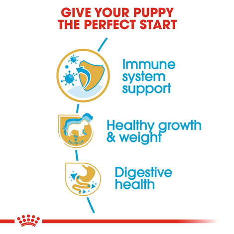 ROYAL CANIN Labrador Retriever Puppy Welpenfutter trocken