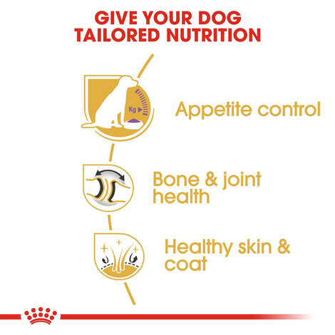 ROYAL CANIN Labrador Retriever Adult Sterilised Trockenfutter für kastrierte Hunde