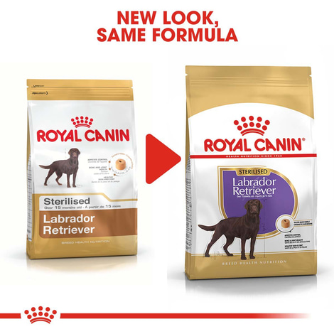 ROYAL CANIN Labrador Retriever Adult Sterilised Trockenfutter für kastrierte Hunde