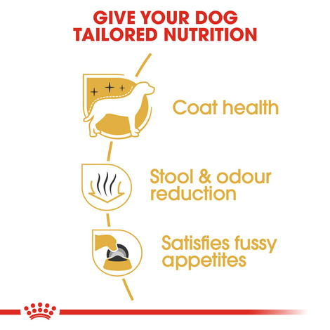 ROYAL CANIN Maltese Adult Hundefutter trocken