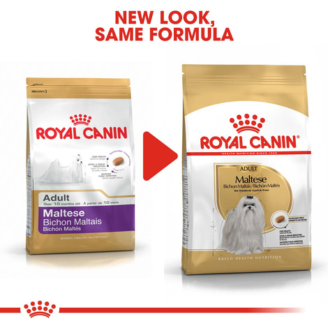 ROYAL CANIN Maltese Adult Hundefutter trocken