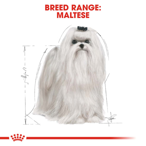 ROYAL CANIN Maltese Adult Hundefutter trocken
