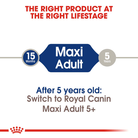 ROYAL CANIN MAXI Adult Trockenfutter für große Hunde