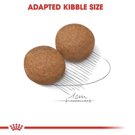 ROYAL CANIN MAXI Adult Trockenfutter für große Hunde