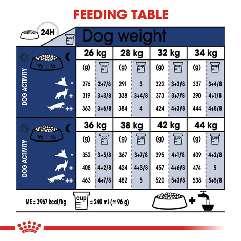 ROYAL CANIN MAXI Adult Trockenfutter für große Hunde