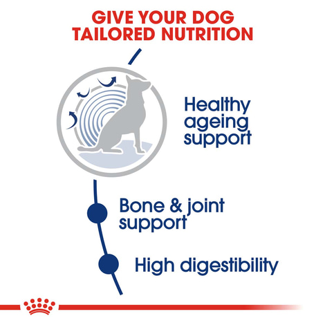 ROYAL CANIN MAXI Ageing 8+ Trockenfutter für ältere große Hunde
