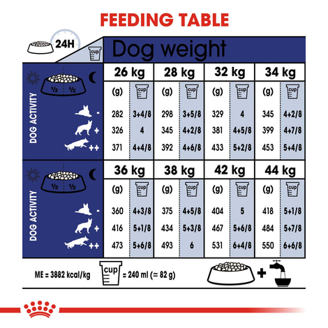 ROYAL CANIN MAXI Ageing 8+ Trockenfutter für ältere große Hunde